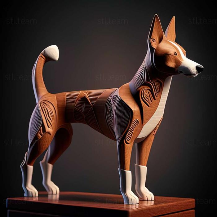 Basenji dog